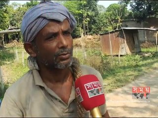 ঝিনাইদহের খেজুর রস সংগ্রহে ব্যস্ত গাছি ও গুড় ব্যবসায়ীরা