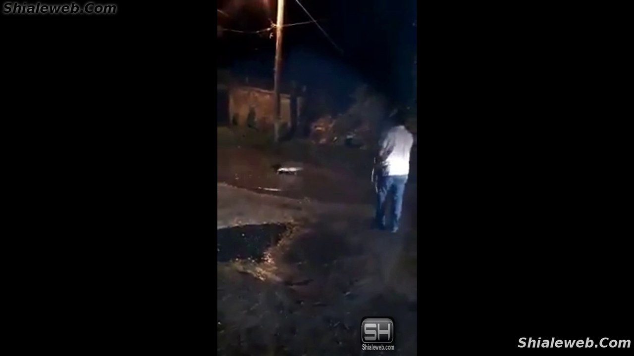 FATAL INCIDENTE EN LAZARO CARDENAS MICHOACAN MEXICO UN COCODRILO MATA A PERSONAS Y ANIMALES DIC 2016