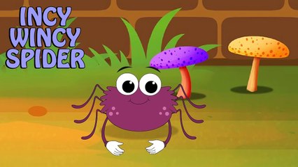 Incy Wincy Spider | Itsy Bitsy Spider | Nursery Rhymes for Babies by NurseryRhymeStreet