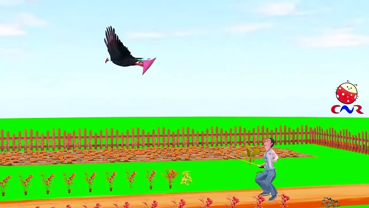 Finger Family Nursery Rhymes for Children Eagles Cartoon | Finger Family Children Nursery Rhymes