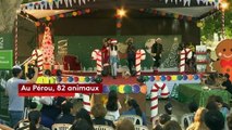 Calendrier de l'Avent : un carnaval de Noël pour sensibiliser aux droits des animaux