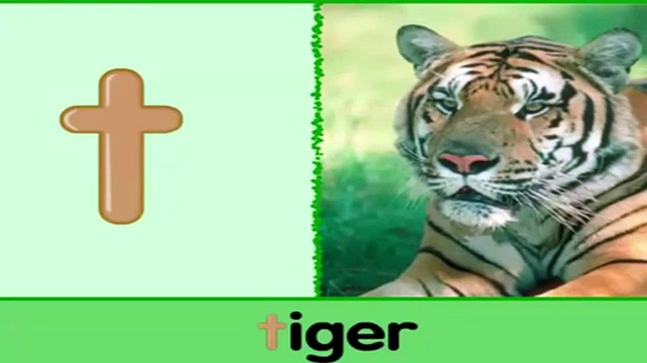 تعليم الأطفال الحروف الإنجليزية | حرف T t