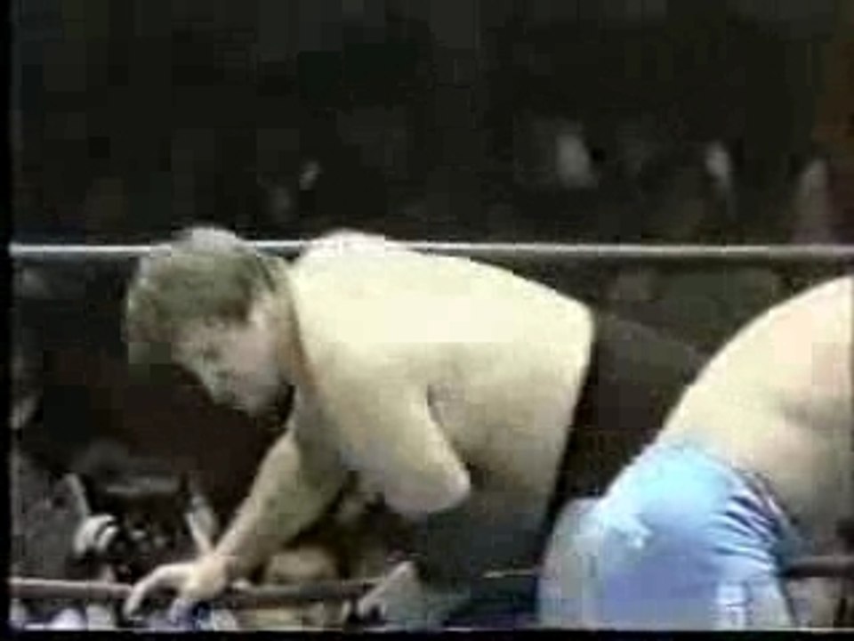 Stan Hansen & Ted DiBiase vs The British Bulldogs