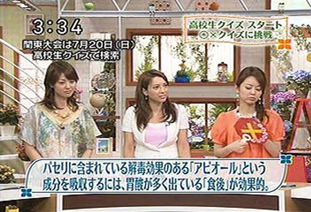 [2000年代バラエティ傑作シリーズ] アナ☆パラ（2008年7月1日 ＯＡ）