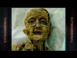 EXN : Muñeca de juguete que envejece como ser humano