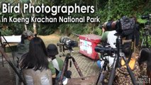 Bird Photographers in Kaeng Krachan National Park