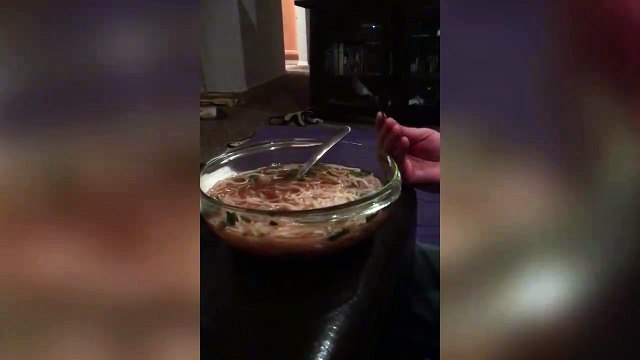 Impossible de manger avec ce chien à coté! Trop drôle...