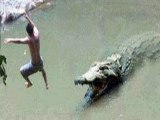 تمساح ياكل راجل فى الماء وهو يحاول الهرب