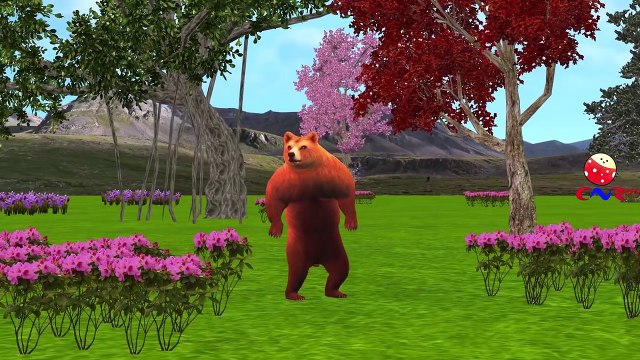 Finger Family Rhymes By Tiger and King Kong Cartoons | Bear Finger Family Children Nursery Rhymes