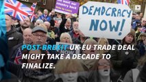 UK ambassador: Brexit trade deal could take up to 10 years