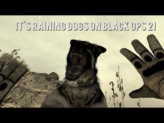 It's Raining Dogs on Black Ops 2 & Funny Reaction!