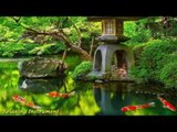 Best Traditional Japanese Music - Relaxing Music for Stress Relief and Healing