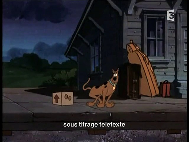 Scooby Doo et Scrappy Doo