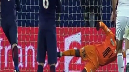 PSG 3-1 Lille - All goals and Highlights 14-12-2016