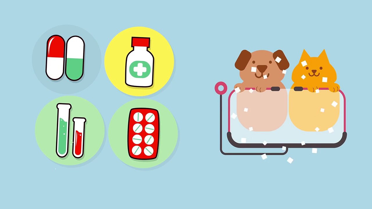 Amazing Animal Wellness Products: Detoxify Your Pet