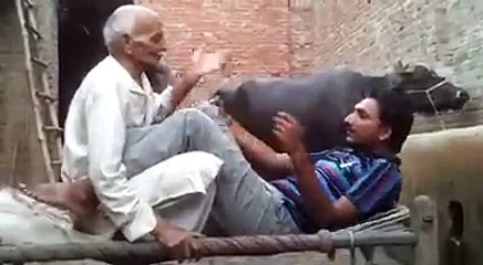 Boys masti with baba jee