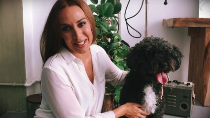 Famosos buscan nuevo hogar a perros de trabajo jubilados