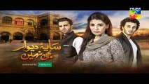 Saya e Dewar Bhi Nahi Episode 19 Promo HD HUM TV Drama 14 December 2016