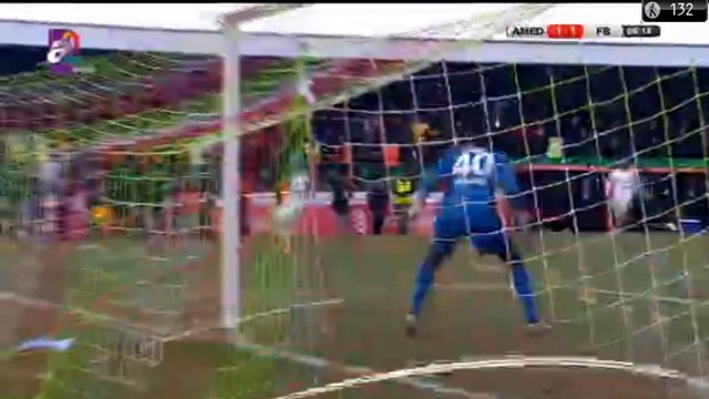Sehmus Ozer Goal HD - Amedspor	1-1	Fenerbahce 15.12.2016