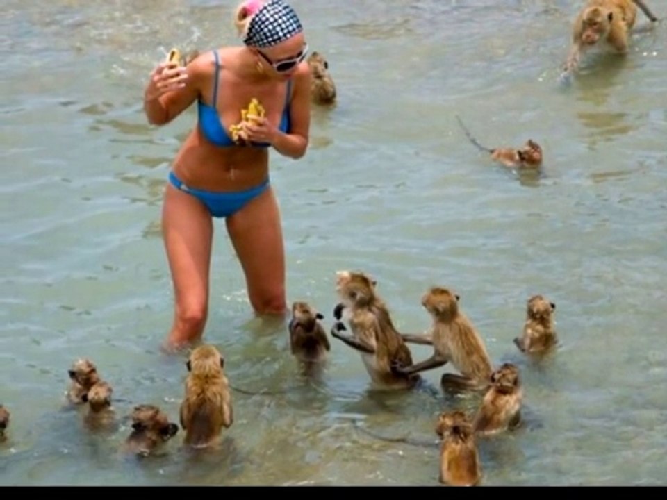 Best Beach funny moments 2017