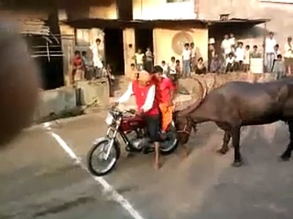 Latest Funny Video