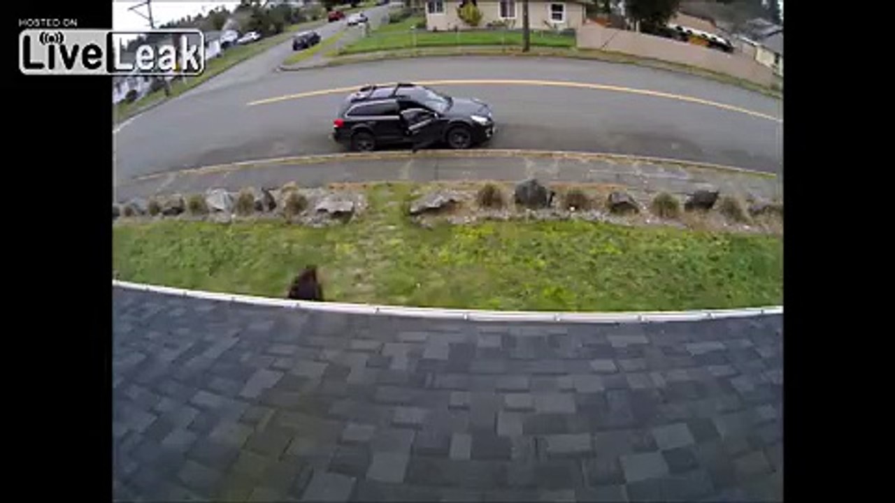 Elle pense voler ce carton mais elle va avoir une mauvaise surprise