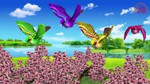 Sparrow ,Goat & Rabbit English Nursery Rhymes || Animals 3D Animation nursery Rhymes