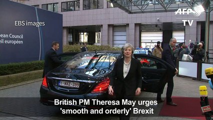 British PM May urges 'smooth and orderly' Brexit