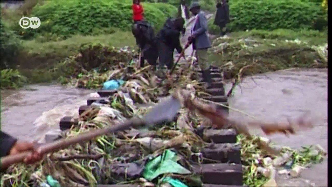 Paper bags tackle plastic mania | Eco-at-Africa
