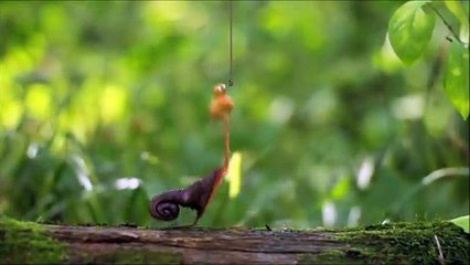 Edward Mordrake_ The Man With Two Faces