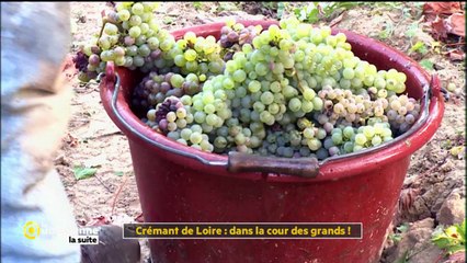 Crémant de Loire : dans la cour des grands  ,