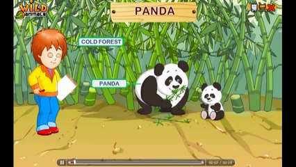 Скачать видео: Wild Animals - Teach kids the names of some popular wild animals, their babies and their habitats.