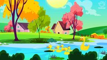 Five Little Ducks Went Out One Day - Popular Nursery Rhyme With Lyrics - Toddler Rhymes - Animation