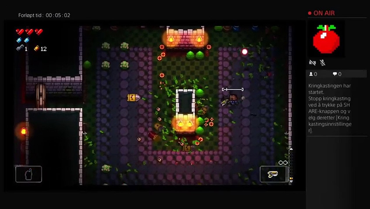Enter the gungeon trying to beat the LICH!