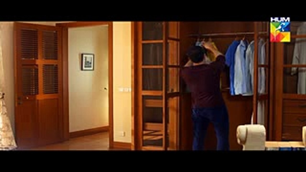 Sanam (Episode 14) HUM TV Drama 12 December 2016