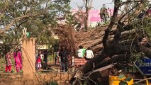 cyclone vardah disaster hit in Tamil Nadu (INDIA)