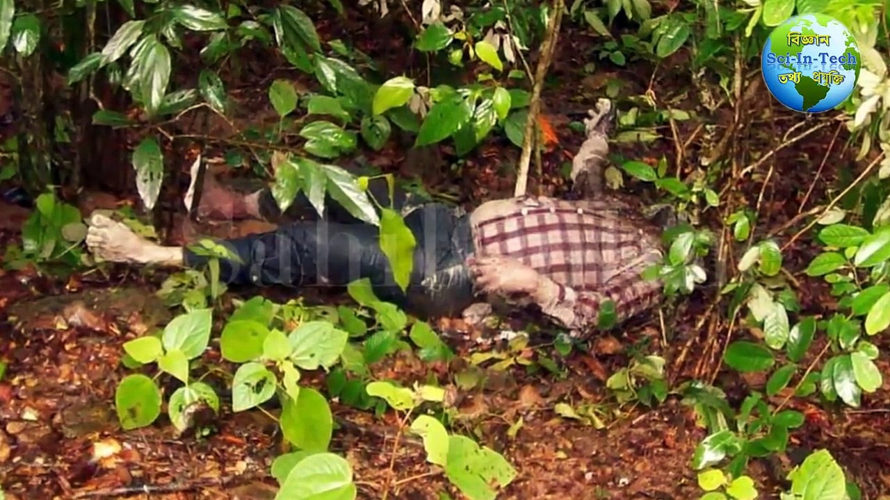 বাংলাদেশের রহস্যঘেরা ৪ টি রহস্যময় স্থান ।