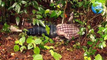 বাংলাদেশের রহস্যঘেরা ৪ টি রহস্যময় স্থান ।