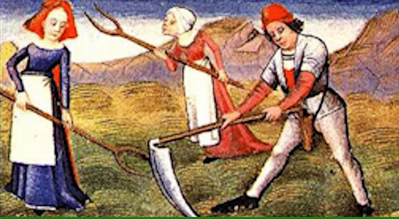 L'épeautre du dimanche