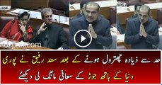 Finally Sad Rafique asked Forgiveness to PTI