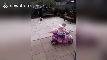 Tired toddler falls asleep on moving toy car
