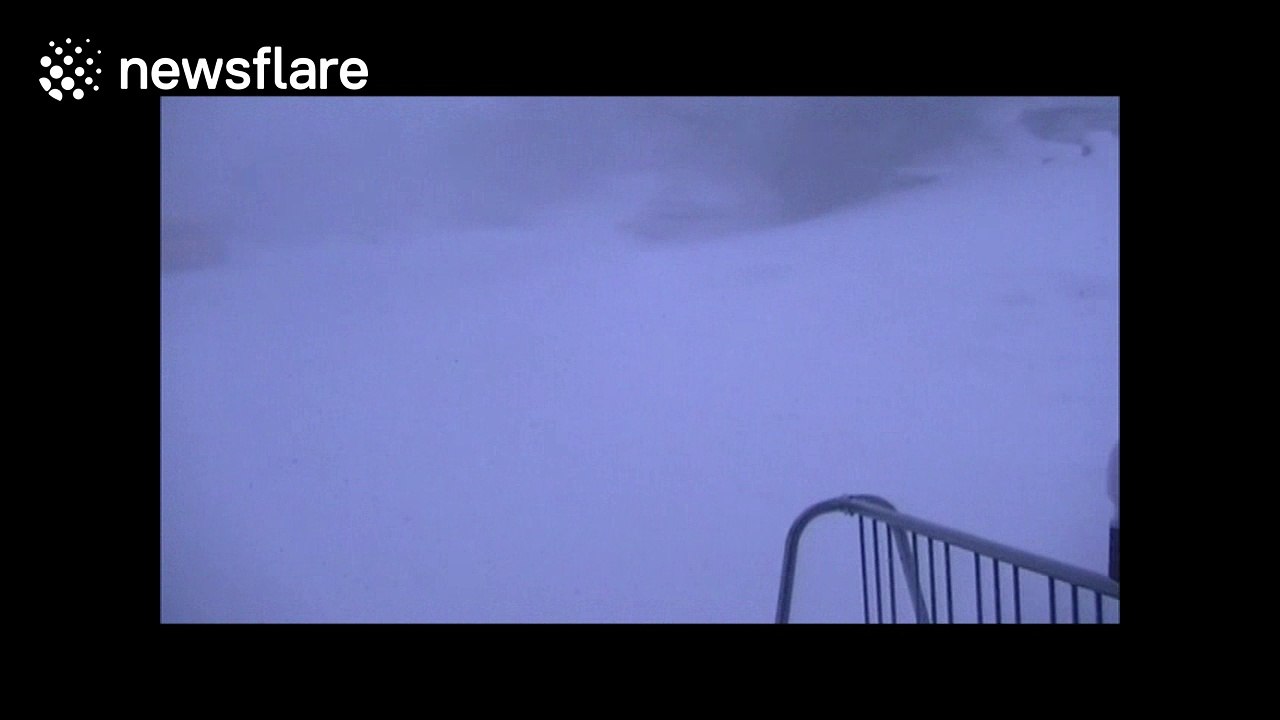 Complete white out during snow storm in Ontario, Canada