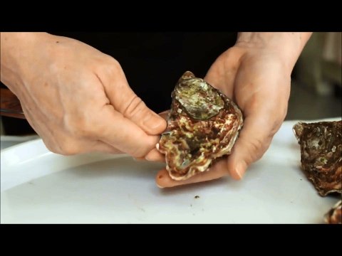 Astuces de Noël : ouvrir les huîtres
