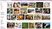 Google Search Tip 13 - Basic Image Search