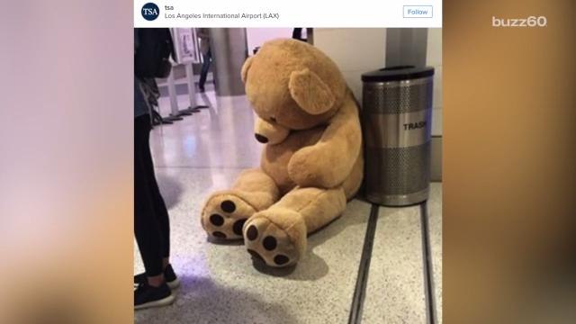 TSA Posts The Most Depressing Instagram Pic Ever