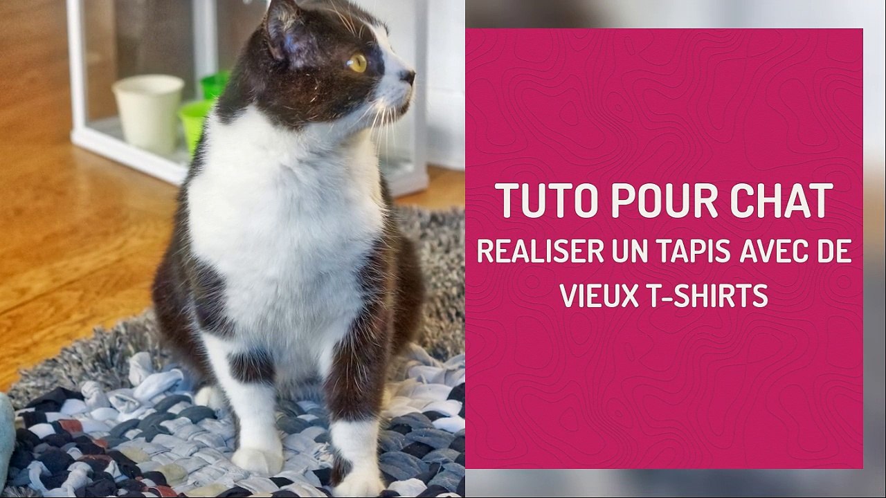 DIY : fabriquer un tapis pour chat
