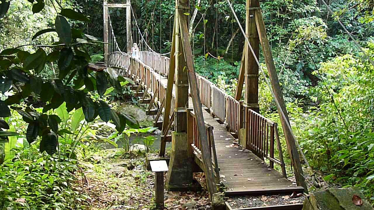 Le pont