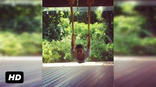 Alia Bhatt Fun Flying Anti Gravity Yoga