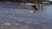 Canadian Firefighters Save Moose Which Broke Through Ice on Frozen River