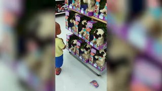 Funniest Cute Kid Reactions, Bloopers & Fails December 2017 Weekly Compilation - Kyoot Kids - YouTube
